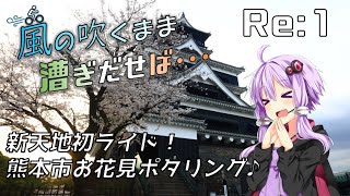 【自転車車載】風の吹くまま漕ぎ出せば Re:1 新天地初ライド！熊本市お花見ポタリング♪【結月ゆかり車載】