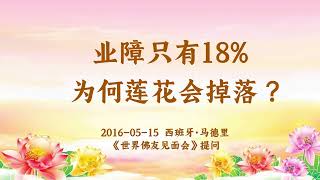 【共修组提问】业障只有18%为何莲花会掉落？| 观世音菩萨心灵法门 (2015.05.15西班牙马德里)