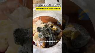 12月12日 黑龍江，東北大冰缸上線了！省錢省電還能裝 外面還能看見菜#媽呀太香了