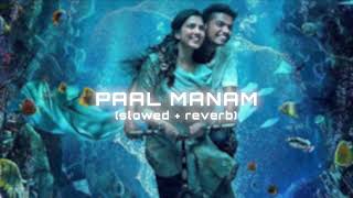 PAAL MANAM - Malayalam Song (Slowed + Reverb )