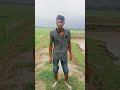 তুই কবে থেকে বেয়াদব হলি viralvideo shortsfeed shorts