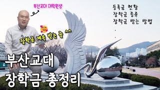 부산교대 대학원 장학금 총정리💸 교육대학원 / 직장인대학원생🤩