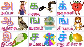 உயிர் எழுத்துக்கள்|உயிர் மெய் எழுத்துக்கள்|மெய் எழுத்துக்கள்|தமிழ் சொற்கள்**************