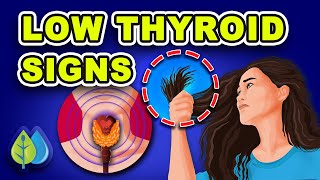 12 signs of Low thyroid levels | Hypothyroidism | Signs and Symptoms of Low Thyroid Levels
