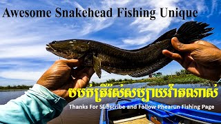 Awesome Snakehead Fishing Unique | បបក់ត្រីរ៉ស់សប្បាយវ៉ាតណាស់