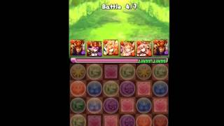 【パズドラ】光の蟲龍　蜜蟲龍　超地獄級　赤関羽　周回編成