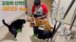 #43. Vlog. 산악인의 대학교 중간고사.ㅣ고양이에게 빠지고 싶다면, 이 영상을 클릭하시오!