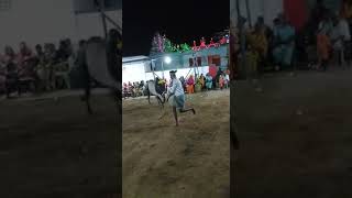 அம்மாபட்டி சலகெருது ஆட்டம்