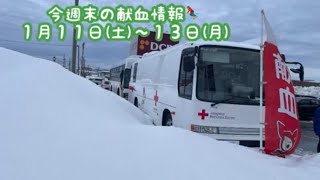 今週末の献血情報⛷️１月１１日(土)〜１３日(月)