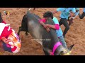 🐂kumarapalayam jallikattu 2025 video 😍 குமாரபாளையம் ஜல்லிக்கட்டு 2025 💰 வீடியோ