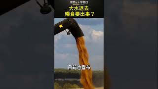 主產區大水爆發 糧食供應要出事？#short｜世界的十字路口 唐浩