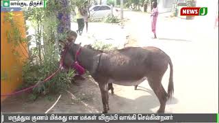 கழுதைப்பால் ரொம்ப நல்லது | கண்முன் கறந்து வி்ற்கும் பெண்