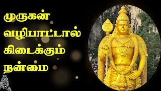 சக்தி கொடுக்கும் முருக வழிபாடு | Lord Murugan Vazhipadu |