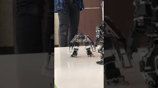 ROBO-ONE認定大会【自作二足歩行ロボット】#roboone  #robotics  【Biped robot battle】