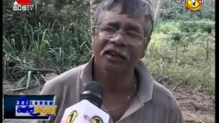 Wanija Warthawa Sirasa TV 24th May 2016