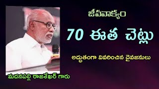 ఈతచెట్లు.70 ఈత చెట్ల అద్భుత వివరణ ఇచ్చిన మదనపల్లి రాజశేఖర్ గారు.TELUGU BIBLE STUDY.RAJASHAKER GARU.