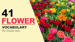 English Vocabulary with Pictures - 41 Flower Vocabulary