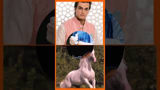 mohsin khan her favourite horses 🐴🐎#short#yrkkh #treanding #mohsinkhan