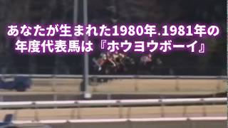 あなたが生まれた 1980年 1981年 昭和55年 昭和56年 に活躍した 馬 は『ホウヨウボーイ』