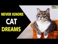 What does Cat Dream Meaning | Cat Dream interpretation | Dreaming of Cats