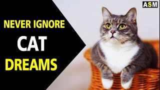 What does Cat Dream Meaning | Cat Dream interpretation | Dreaming of Cats