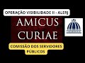 VITORIA DA OPERAÇÃO VISIBILIDADE - II - AMICUS CURIAE