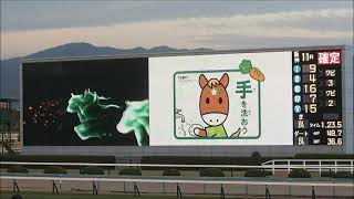 阪神競馬場 2020ファイナルステークス 本馬場入場＆レース風景