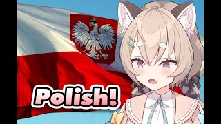 Panko's experience with Polish