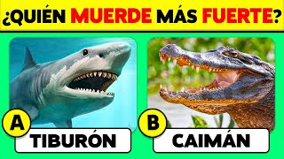 ¿Cuánto Sabes de Animales? 🦓🐒🐦 50 Preguntas de CULTURA GENERAL ✅