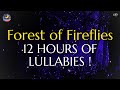 Lullaby for babies to go to sleep - Forest of Fireflies Light - Baby Lullaby #19