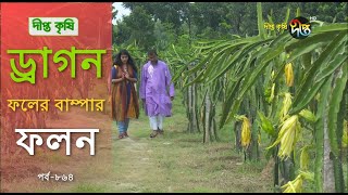 Deepto Krishi/দীপ্ত কৃষি-  ড্রাগন ফলের বাম্পার ফলন | ঝিনাইদাহ | deepto tv | পর্ব-৮৬৪