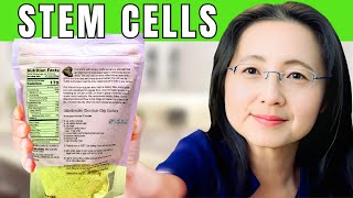 stem cells