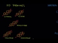 from terpenes to steroids part 2 squalene cholesterol and steroids