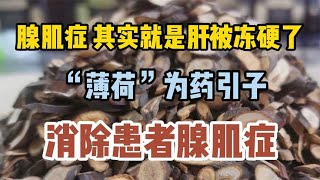 腺肌症，其实就是肝被冻硬了 “薄荷”为药引子，消除患者腺肌症