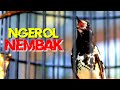 ANIS KEMBANG NGEROL NEMBAK, PANCINGAN ANIS KEMBANG BIAR GACOR