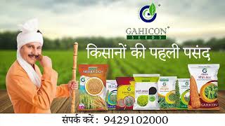 Top Seed Company in Gujarat -Gahicon Agrosys Pvt Ltd ( गुजरात की प्रसिद्ध बीज कंपनी -गहिकोन सीड्स )