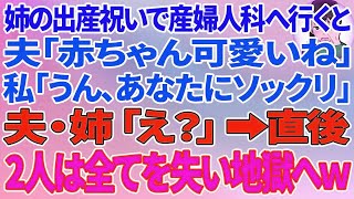 【スカッとする話】姉の出産祝いで産婦人科へ行くと、夫「赤ちゃん可愛いね」私「うん、あなたにソックリだった」夫・姉「え？」直後、2人は全てを失い地獄へ 1