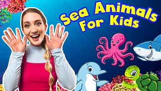 Sea Animals For Kids | Miss Sarah Sunshine | Its Circle Time