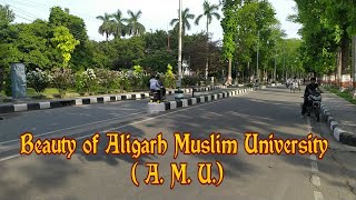 Aligarh Muslim University campus with winter season