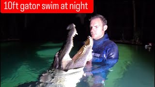 10ft gator swim at night!