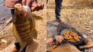 तुळशी धरण, धामोड. मासेमारी आणि चुलीवरचे जेवण