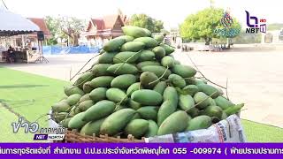 วัดท่าหลวง จังหวัดพิจิตร จัดโครงการคุณพระช่วย ช่วยเหลือเกษตรกรชาวสวนมะม่วงฟ้าลั่น