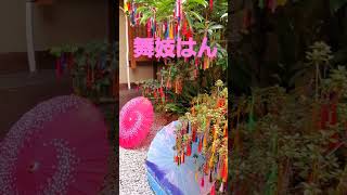 舞妓はん　八坂神社節分祭2024