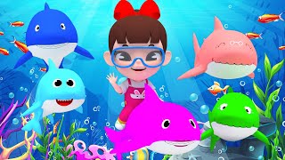 ABC Song & Baby Shark Five Little Ducks Finger Family Funny Nursery Rhymes | Super Lime And Toys
