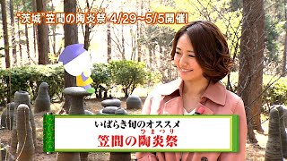 磯山さやか : 旬刊！いばらき・笠間の陶炎祭 (201304)