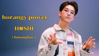 호랑이 Power - HOSHI ( fmv )