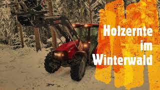 Holzernte im Winterwald