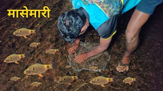 रात्री गेलो जंगलातल्या व्हाळात मासेमारी करायला , उन्हाळ्यातली मासेमारी ,kokan fishing  @TejaGurav