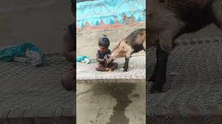 चरण की धूल ले लूं मैं #viral #video#shorts#so sweet #baba#🌹🌹🌹