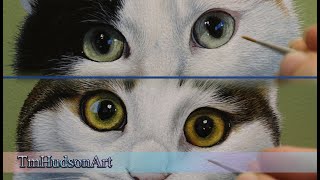 How to paint realistic cat eyes in acrylic - tutorial